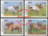 Recognized Native indigenous cattle breeds of India.