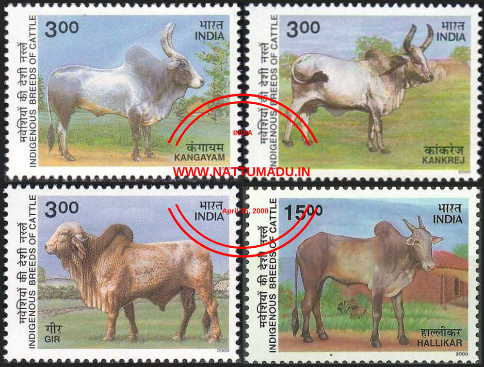 Recognized Native indigenous cattle breeds of India.