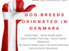 Dog breeds originating in Denmark