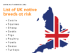 List of UK native breeds at risk