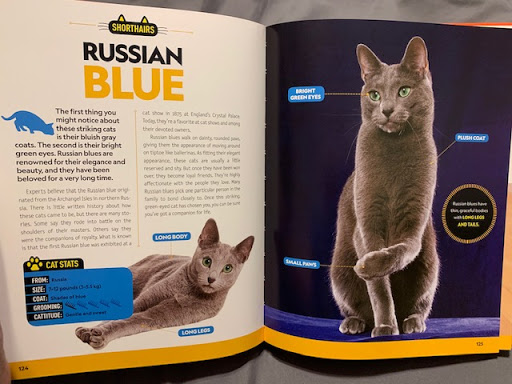 Cat breeds originating in Russia