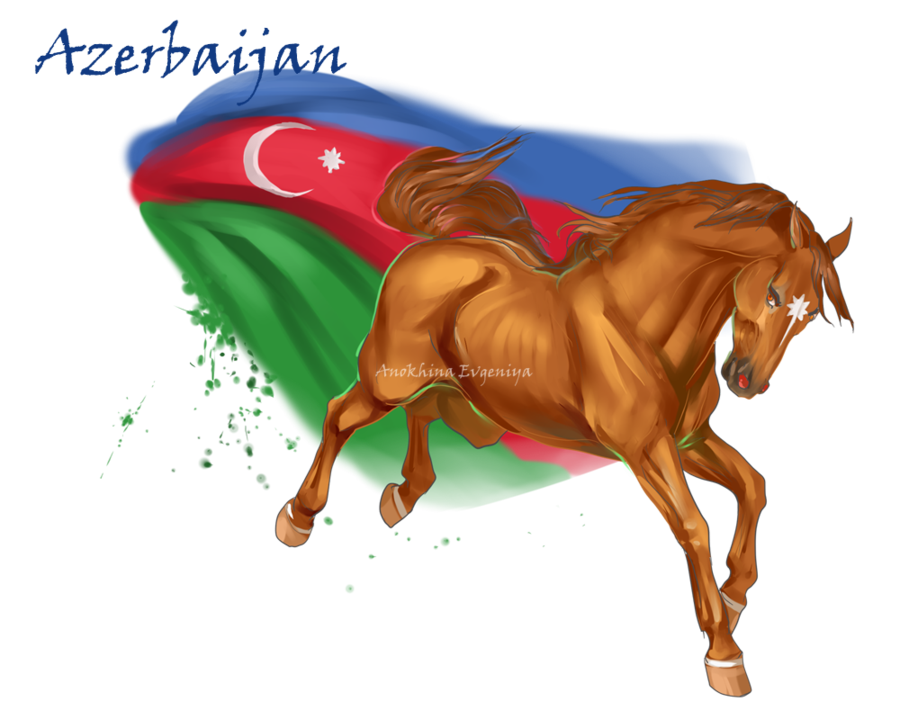 Azerbaijan Horse