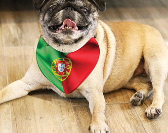 Dog breeds originating in Portugal