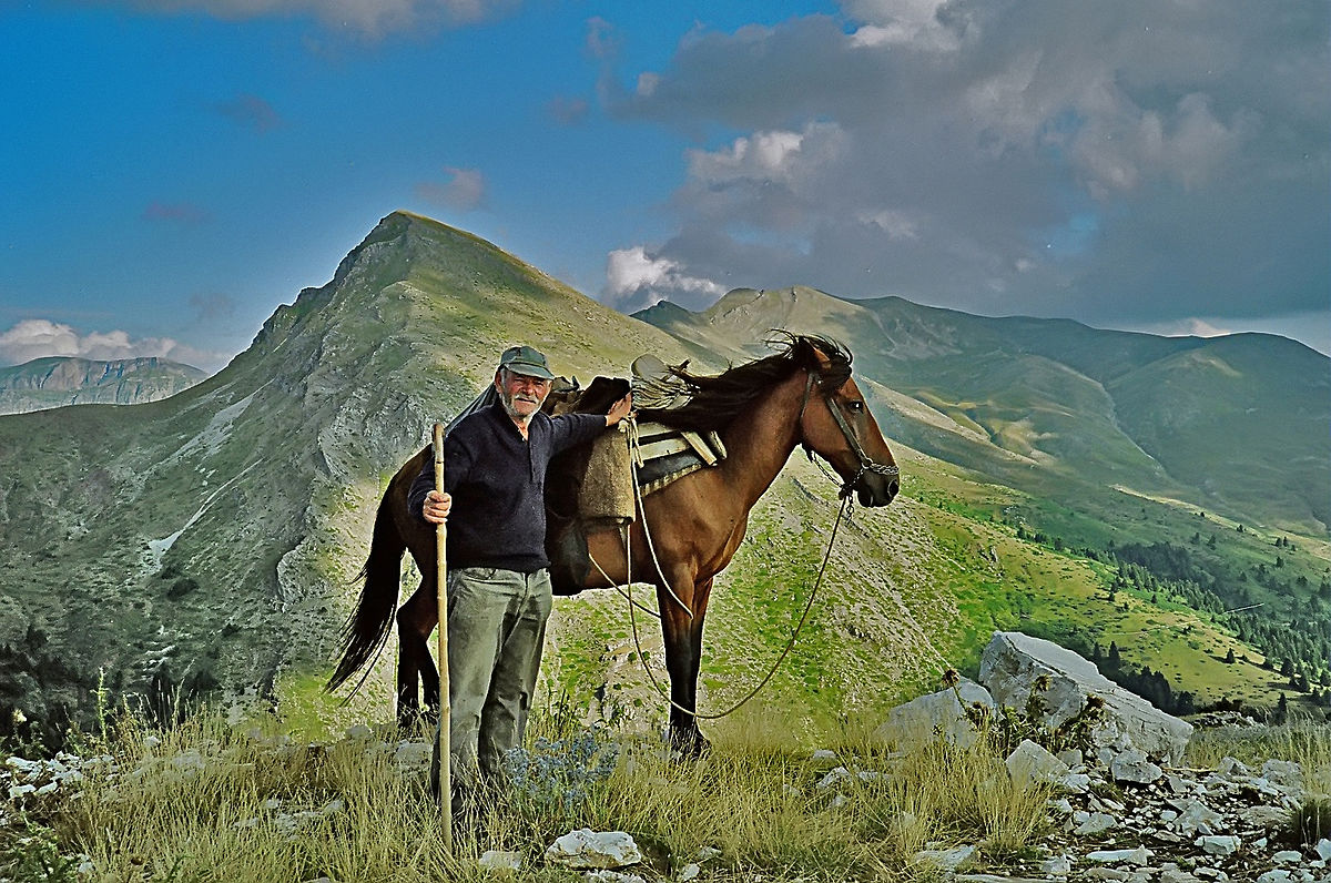 List of Greek horse breeds