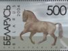 Horse Breeds From Belarus