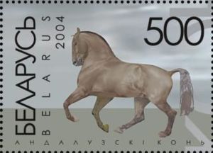 Horse Breeds From Belarus
