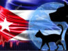 Dog breeds originating in Cuba