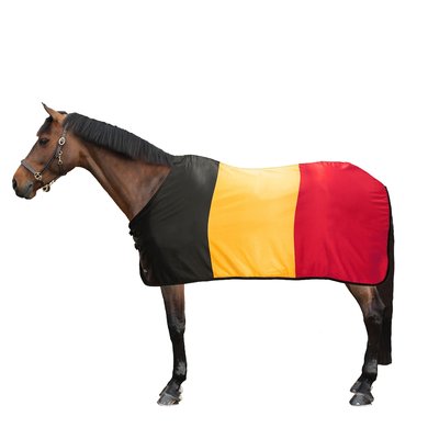 Horse breeds originating in Belgium.