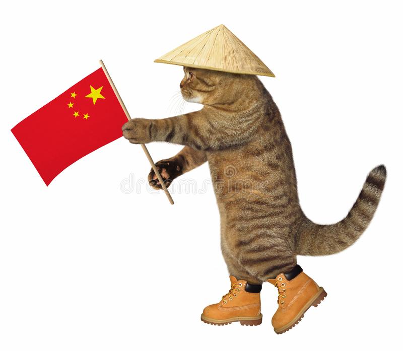 Cat breeds originating in China