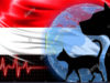 Native Egyptian Dog Breeds