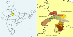 Bhadawari buffalo breeds - Native Breed.org