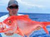 Alfonsino Fish